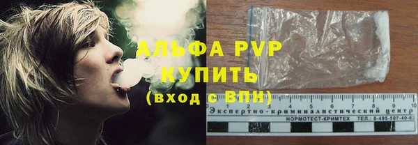 хмурый Новозыбков