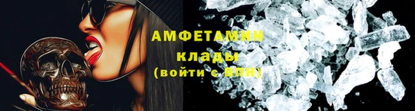 хмурый Новозыбков