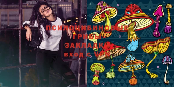 хмурый Новозыбков