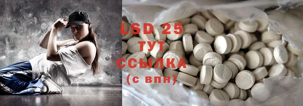 хмурый Новозыбков